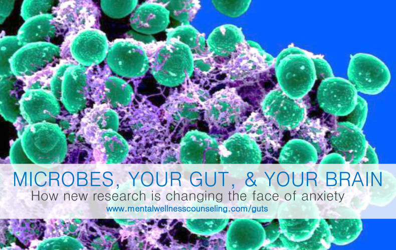 Microbes, Your Gut, and Your Brain | How new research is changing the face of anxiety