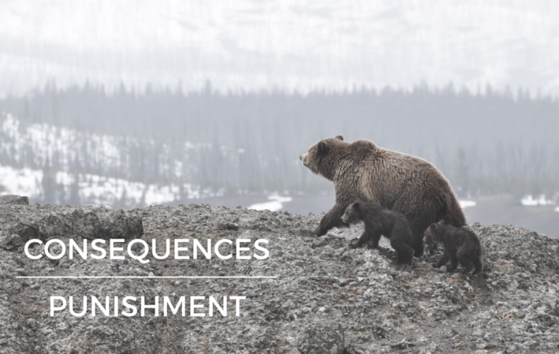 Consequences vs. Punishment for Kids