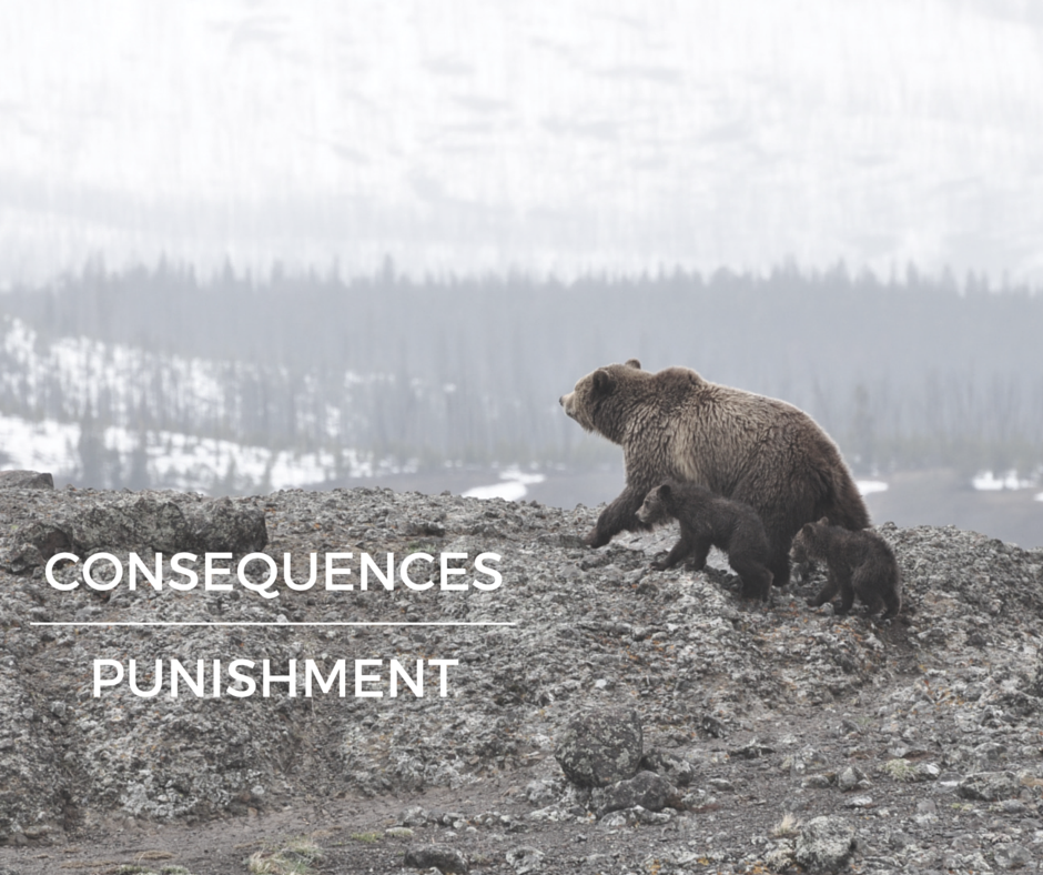 Consequences vs. Punishment PARENTING COUNSELING